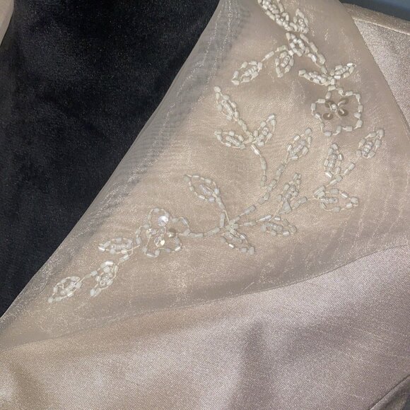 JESSICA HOWARD Women's Champagne Color Sheer Sleeve Blouse 2pc Suit Long Skirt 6 - Picture 3 of 16